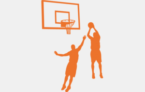 RENTREE SPORTIVE "BASKET"